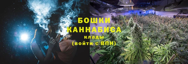 COCAINE Белокуриха