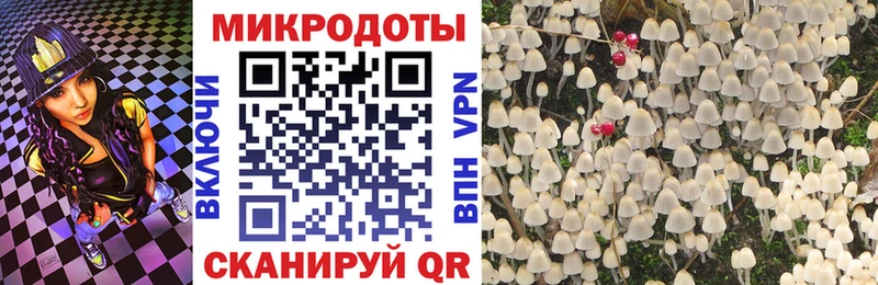 Псилоцибиновые грибы Psilocybine cubensis  Нерехта 